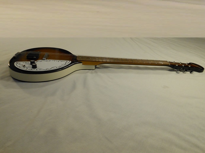 Baby Sitar Picture 10